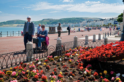 Pobl yn cerdded ar hyd promenâd Llandudno