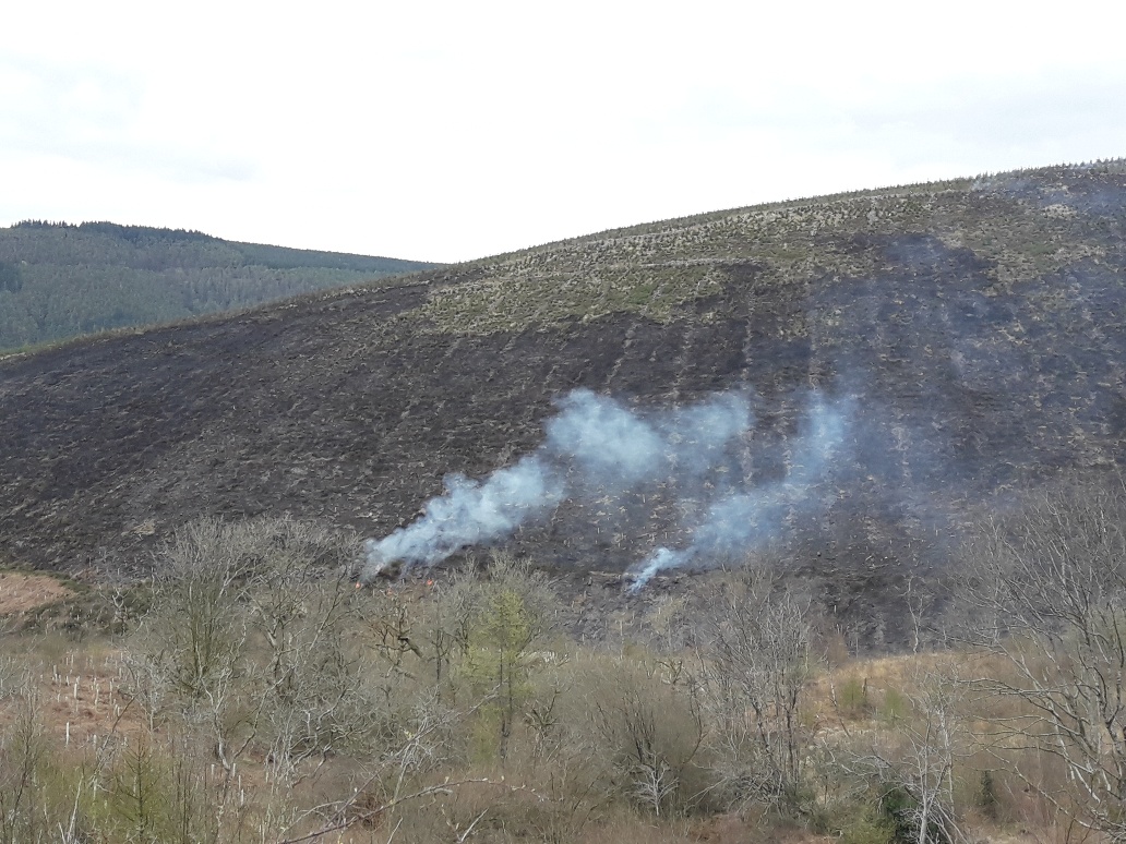 Fire on hillside at Penhydd, Afan Forest Park