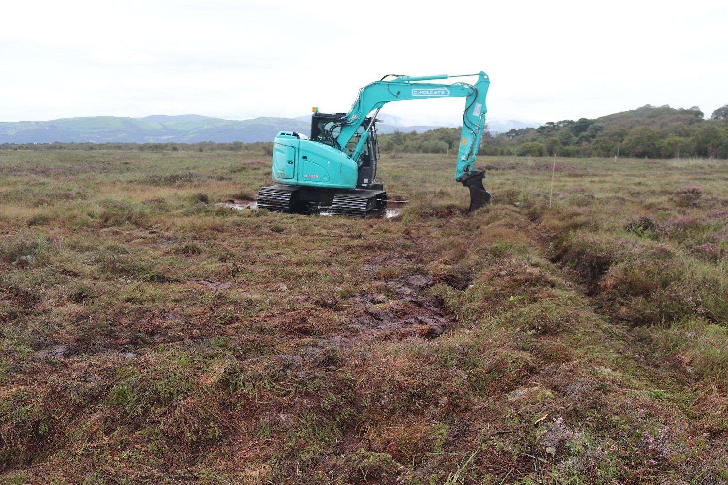 Bunding work starts at Cors Fochno raised bog near Borth in Ceredigion