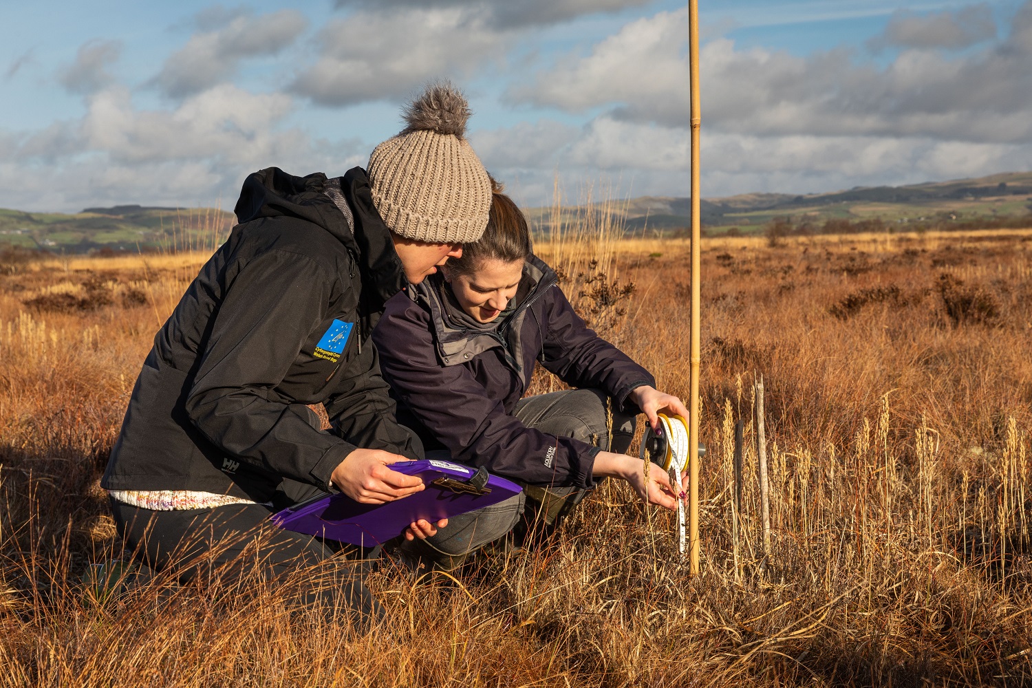 Volunteer at Cors Caron