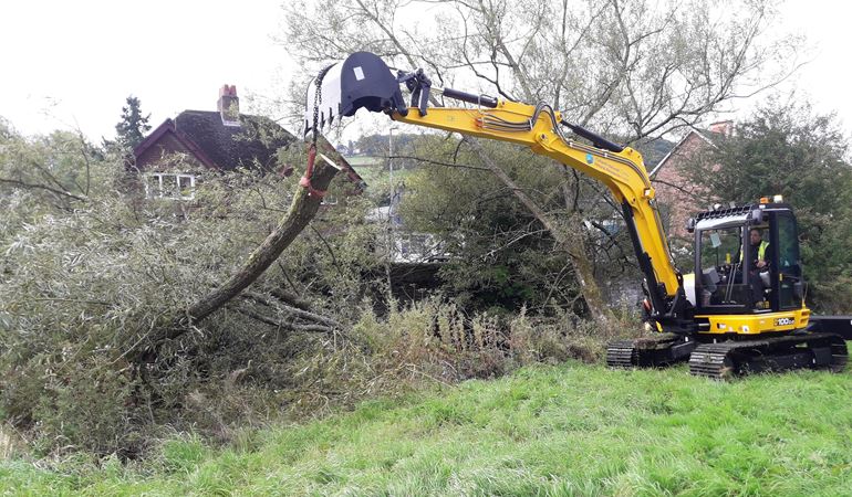 JCB removing a large tree from the river Teme