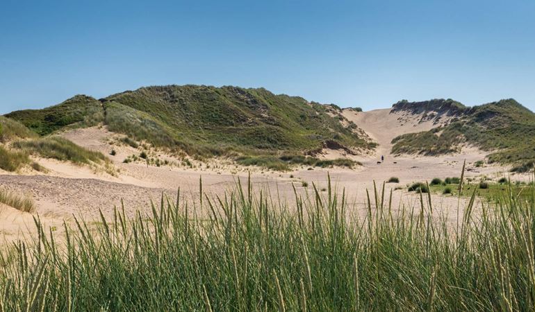 Merthyr Mawr sand dunes