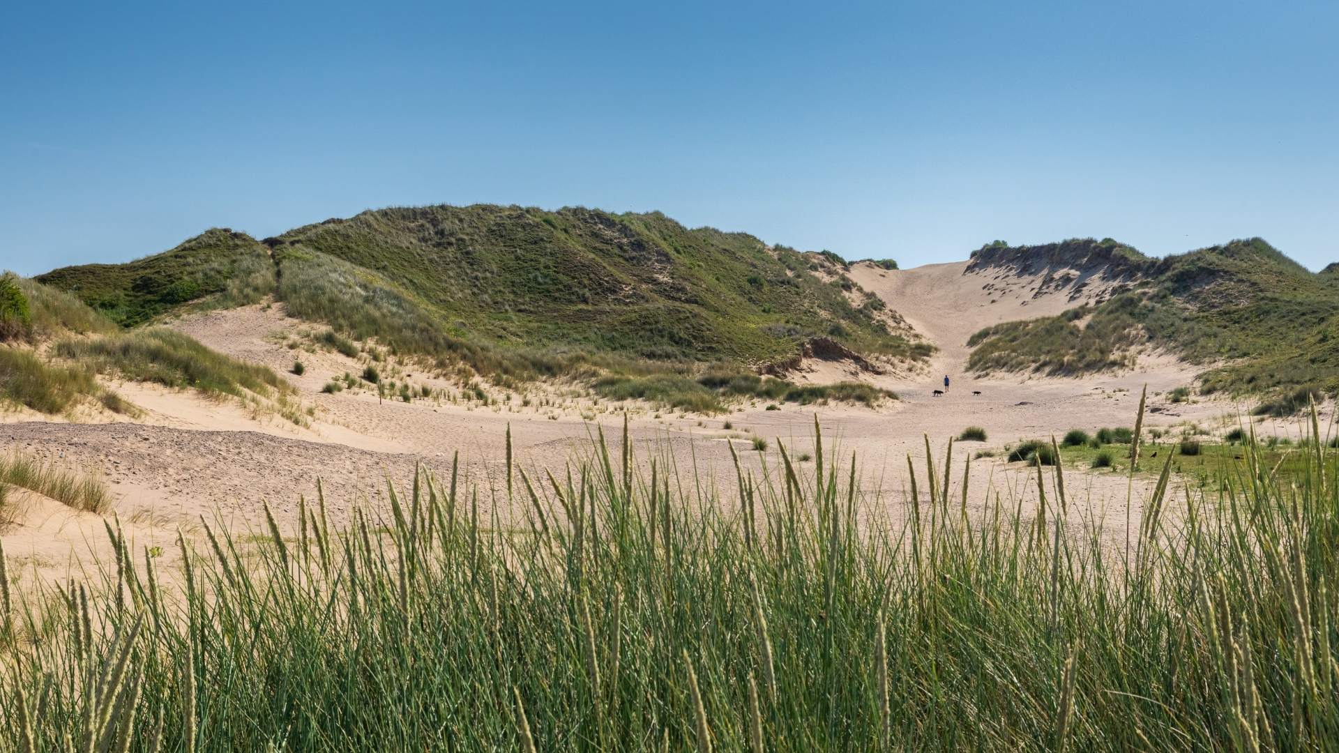 Merthyr Mawr sand dunes