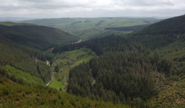 Hafren forest Hafren forest