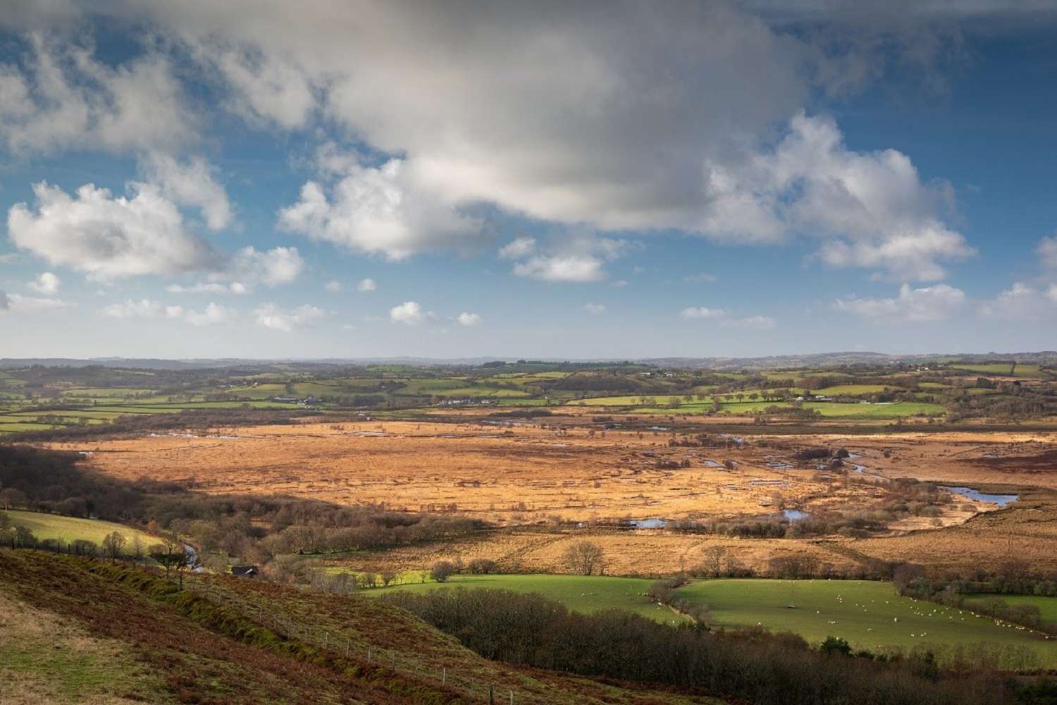 Cors Caron NNR (Photograph credit Drew Buckley Photography)