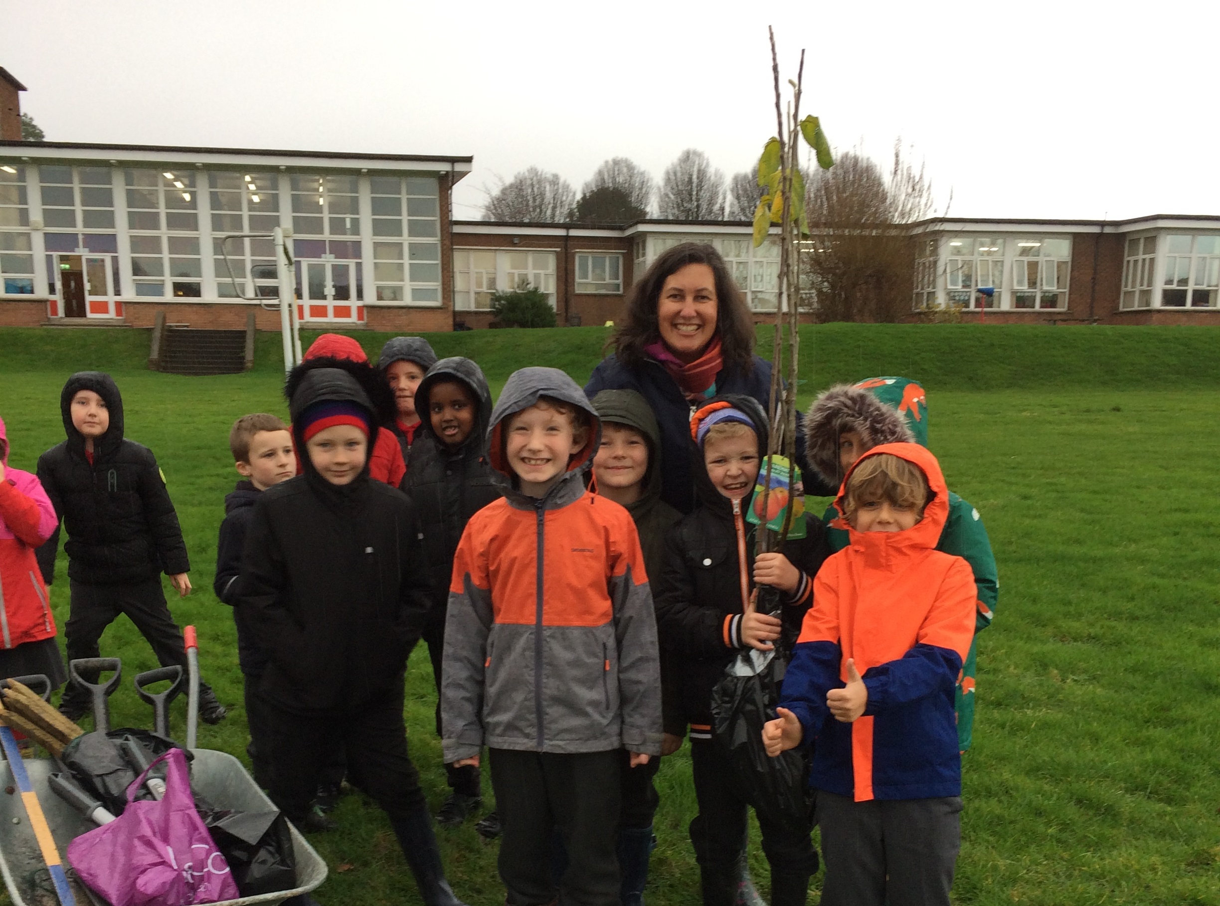 Pupils at Fairfield Primary School planting an apple tree