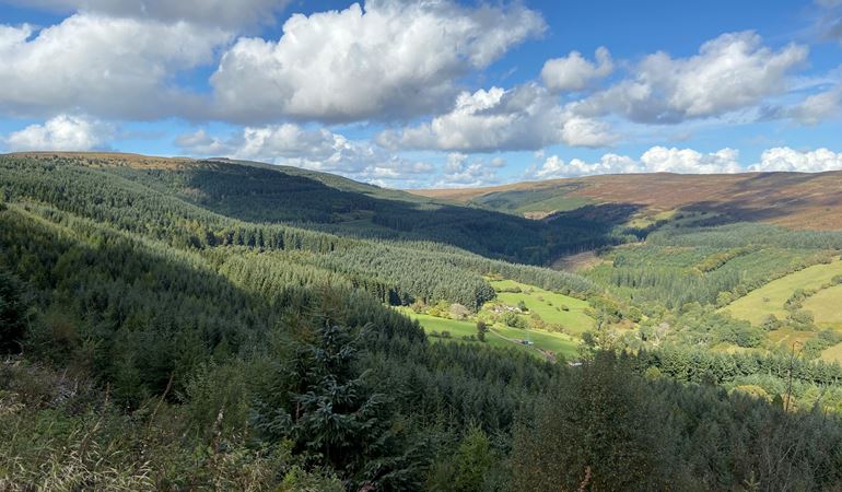 View of Mynydd Du Forest