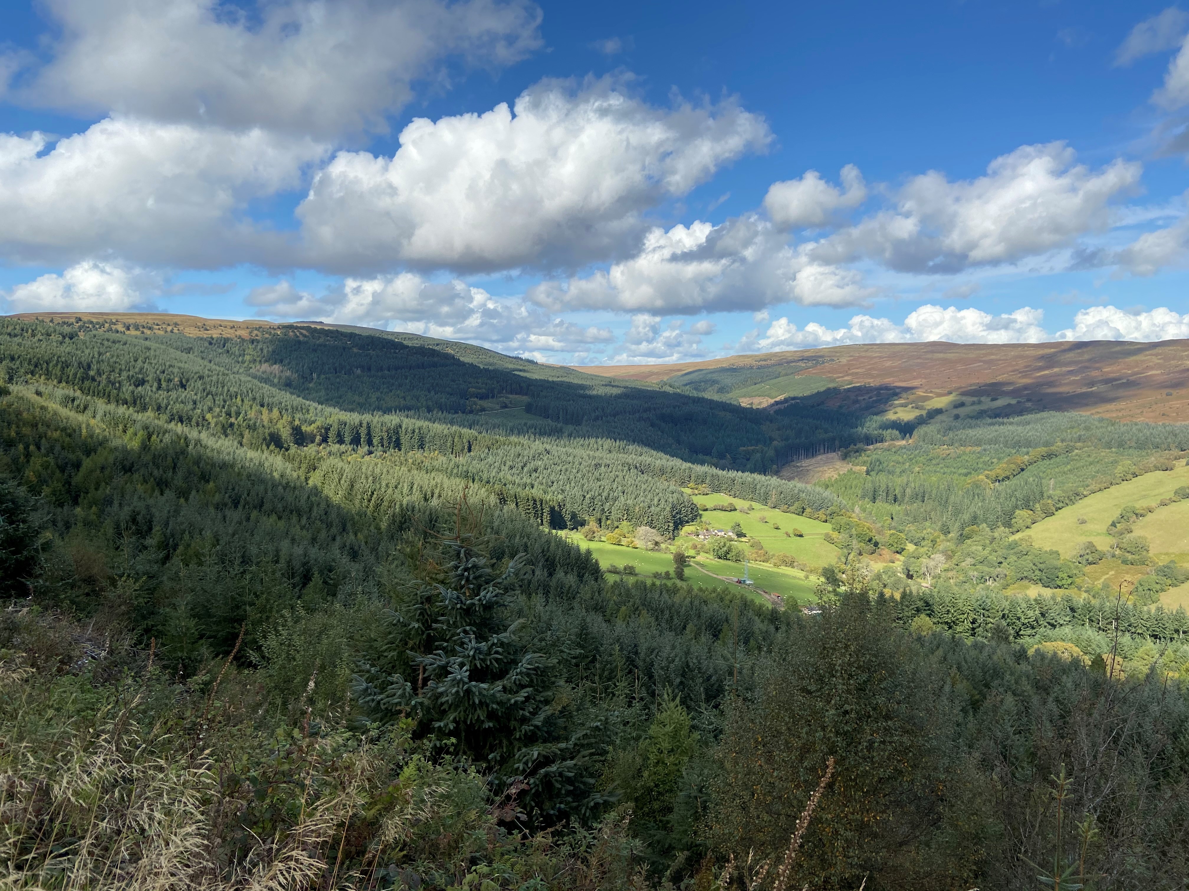 View of Mynydd Du Forest