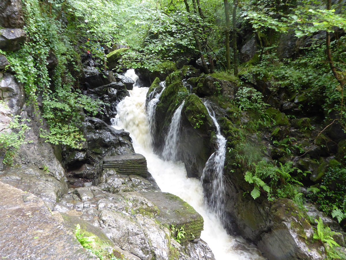 Natural Resources Wales / Fforest Fawr, near Caerphilly