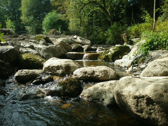 Photograph showing a fish easement constructed of large boulders to replicate a natural channel with steps and pools
