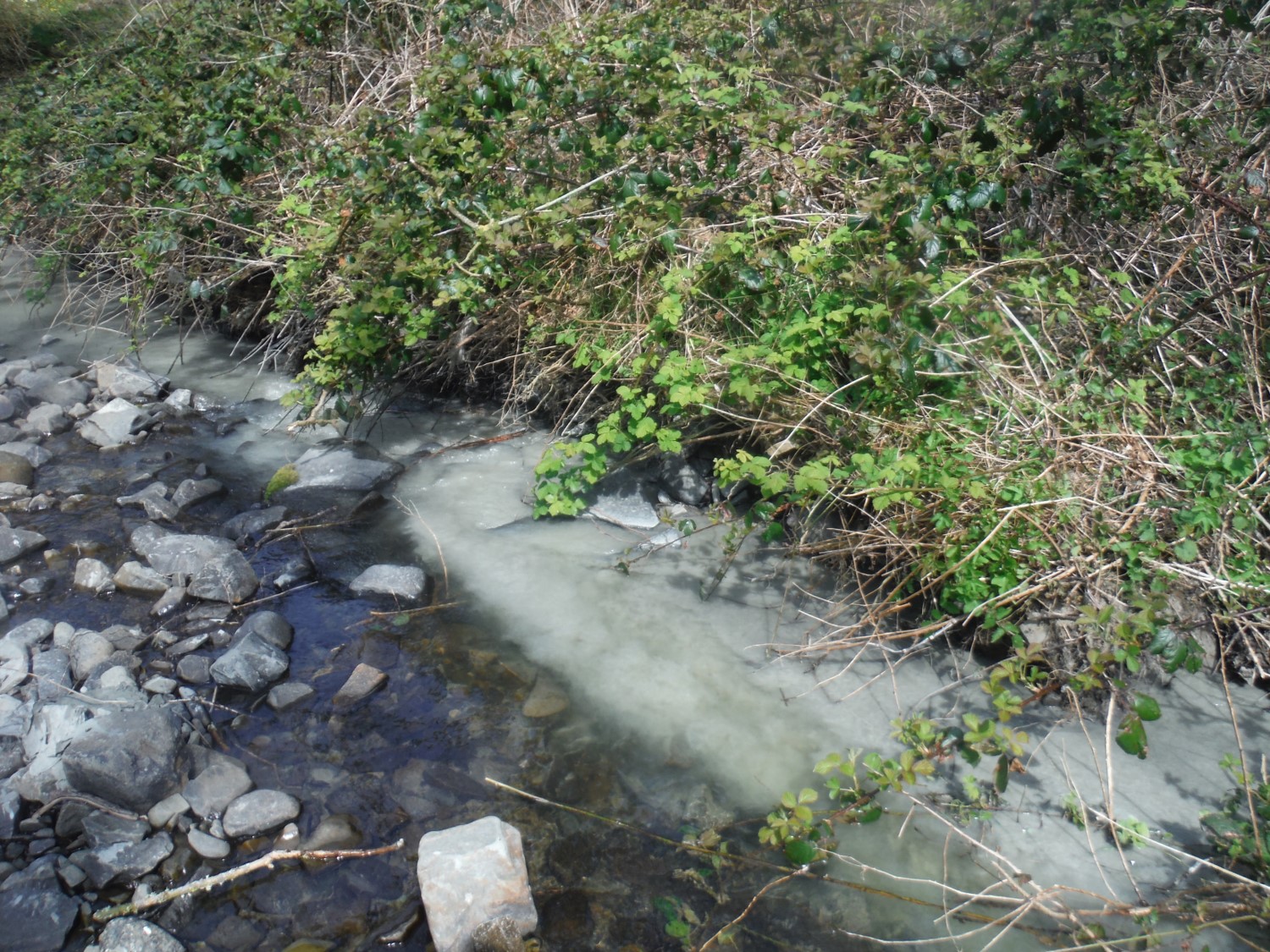 Thick sediment entering the Afon Drywi and flowing alongside clear water from upstream