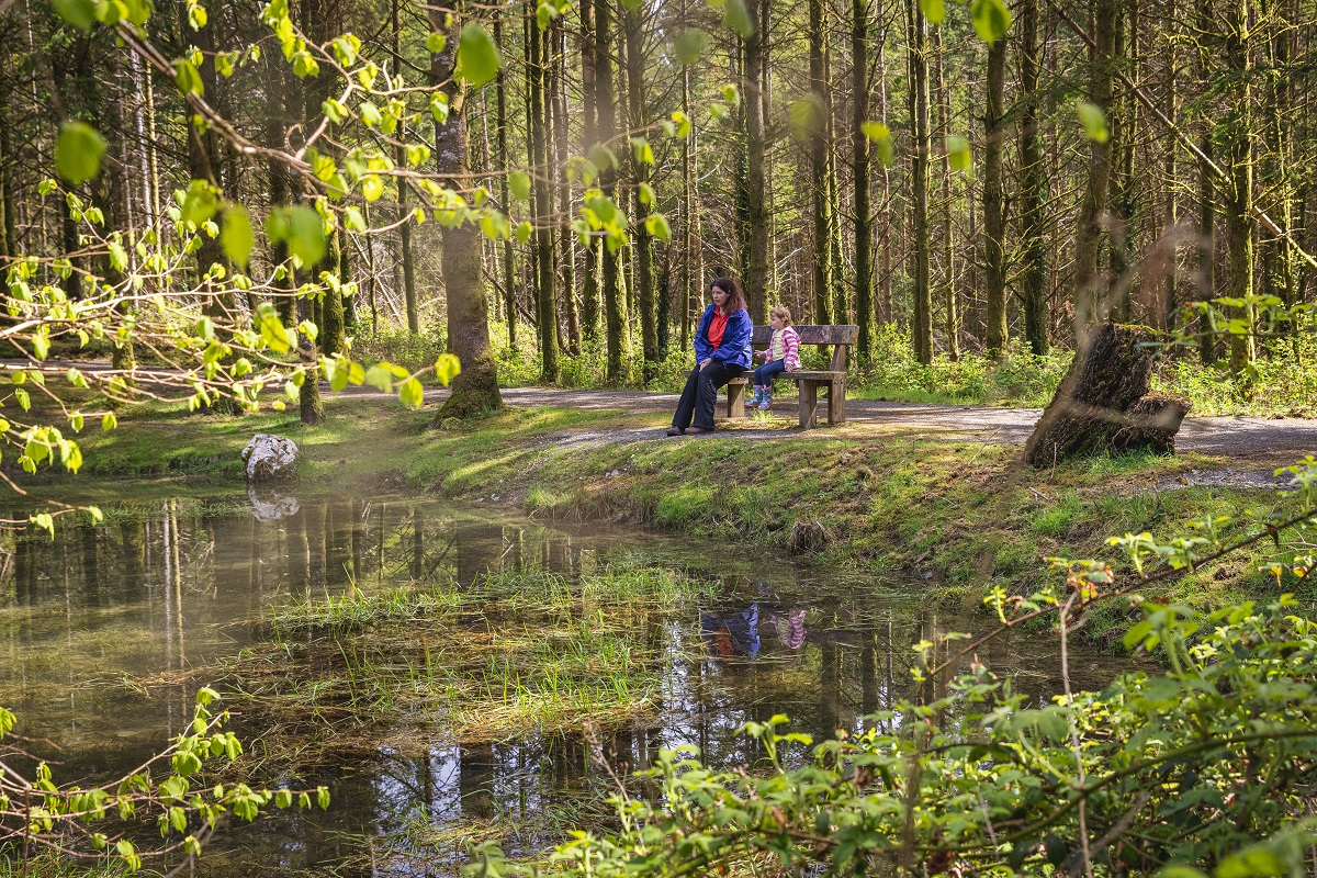 Natural Resources Wales / South West Wales