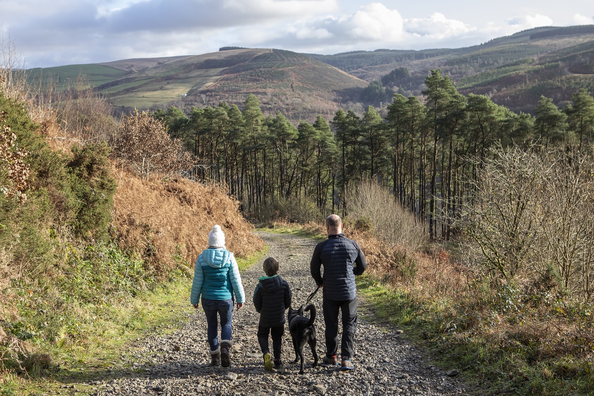 Afan Forest Park