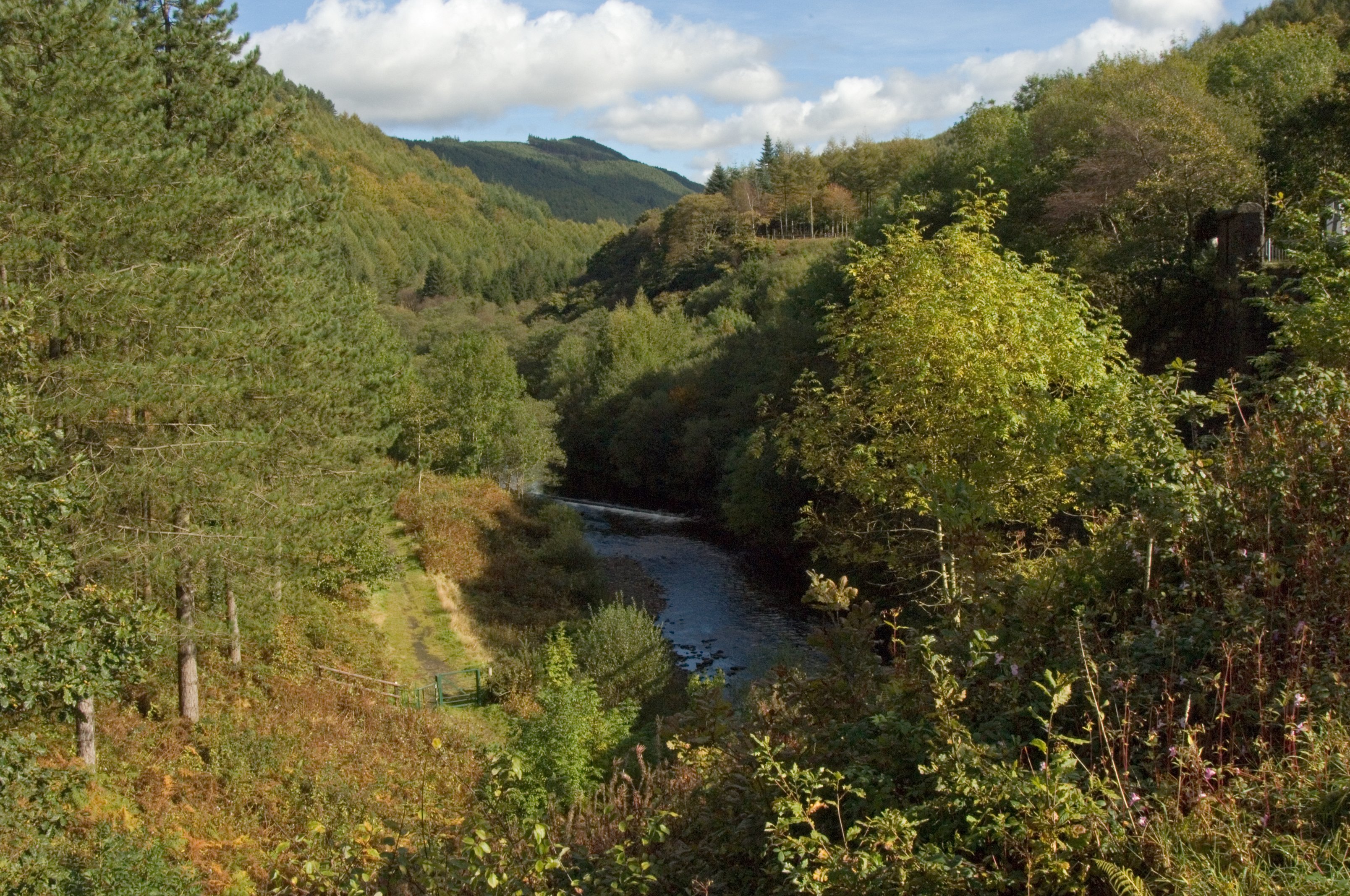 Rhyslyn, Afan Forest Park