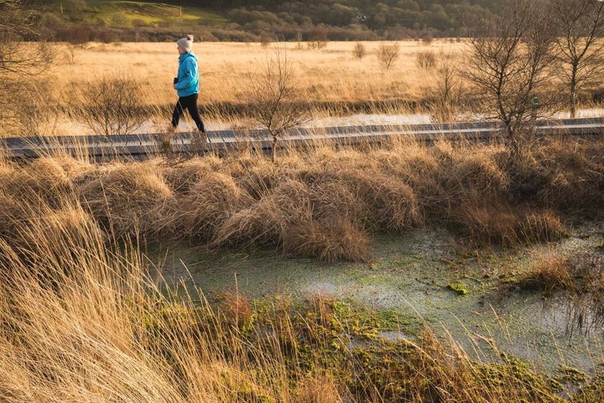 Photo Of Person Walking Along The Boardwalk At Cors Caron Raised Peat Bog In Winter