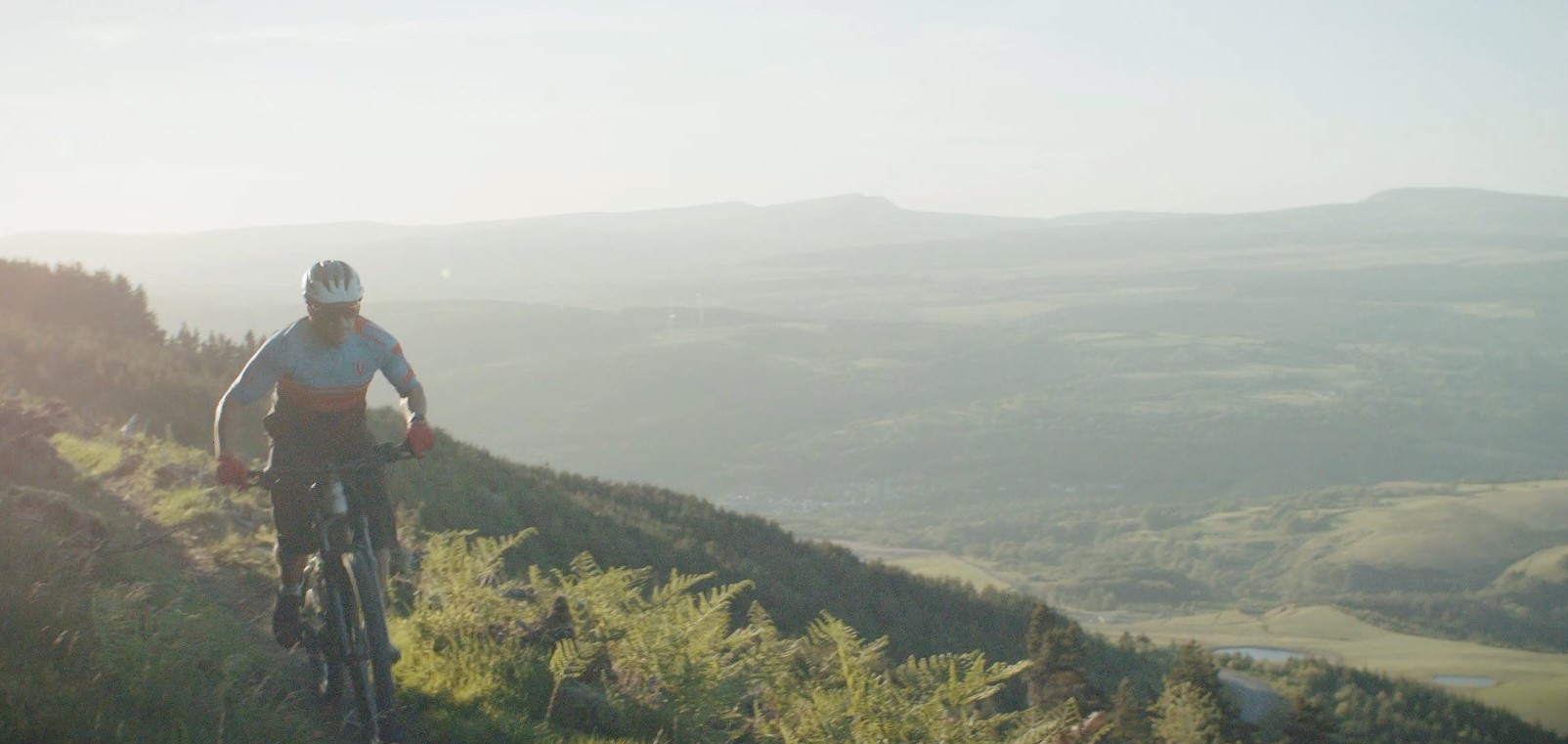 Llwybr Skyline, Parc Coedwig Afan 