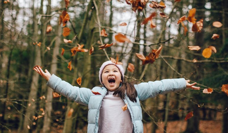 A girl throwing leaves in a forest A girl throwing leaves in a forest