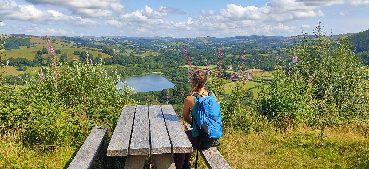 Natural Resources Wales / Talley Woodlands, near Llandovery