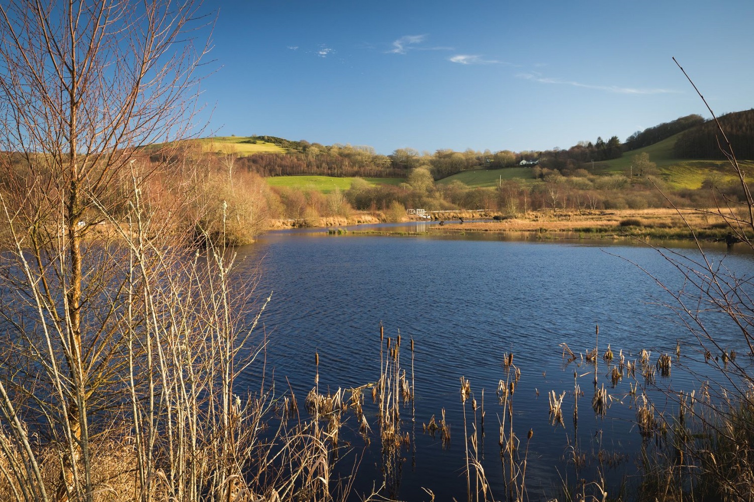 Cors Caron NNR (Photograph credit Drew Buckley Photography)