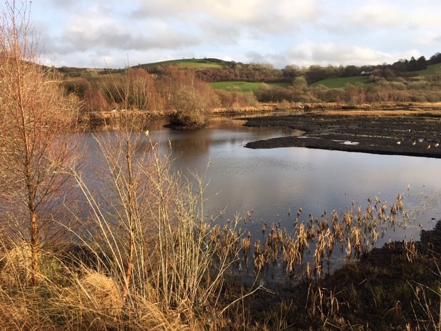 Llifddor Cors Caron yn y pellter