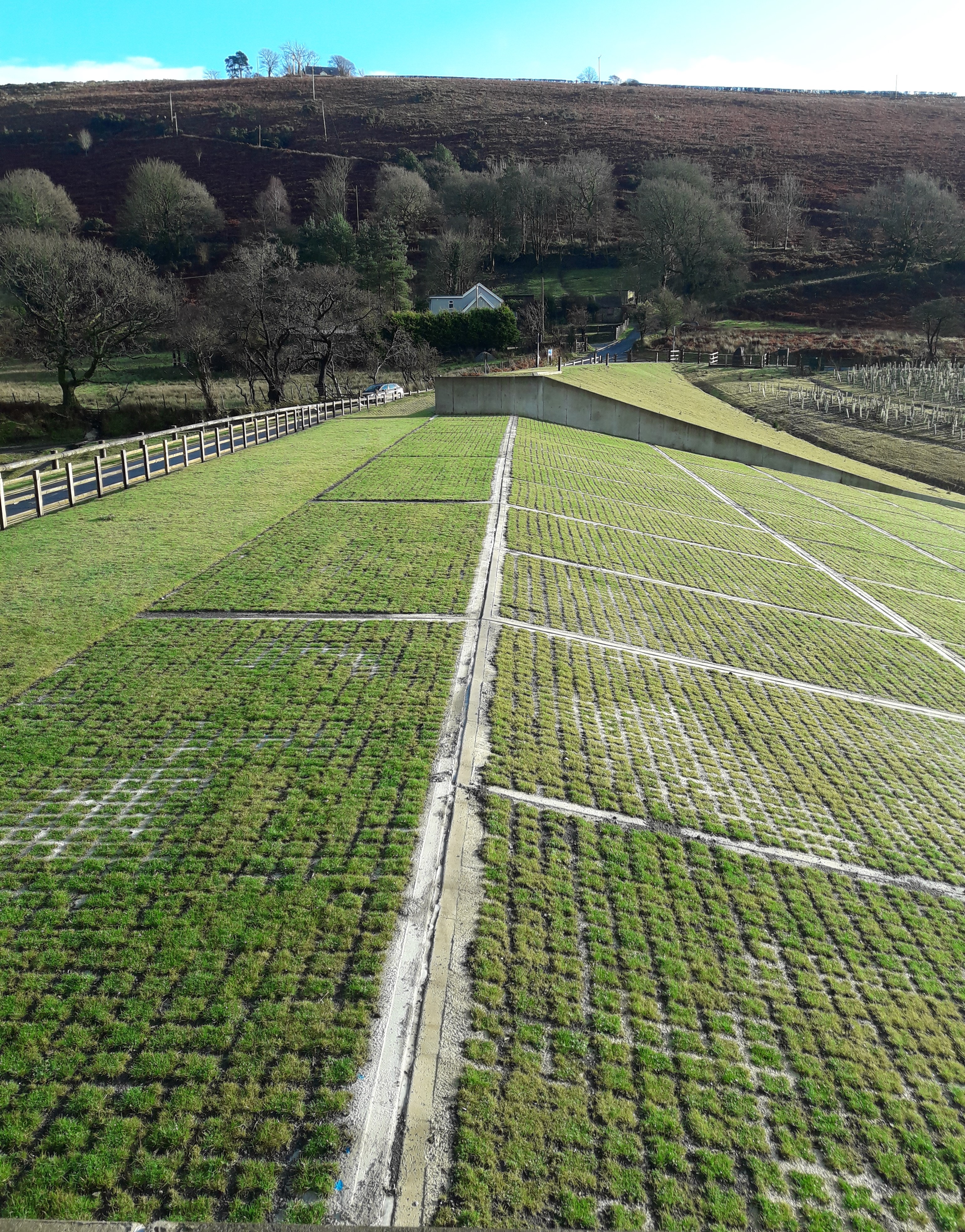 Llethrau cronfa ddŵr Cynllun Llifogydd Pontarddulais 