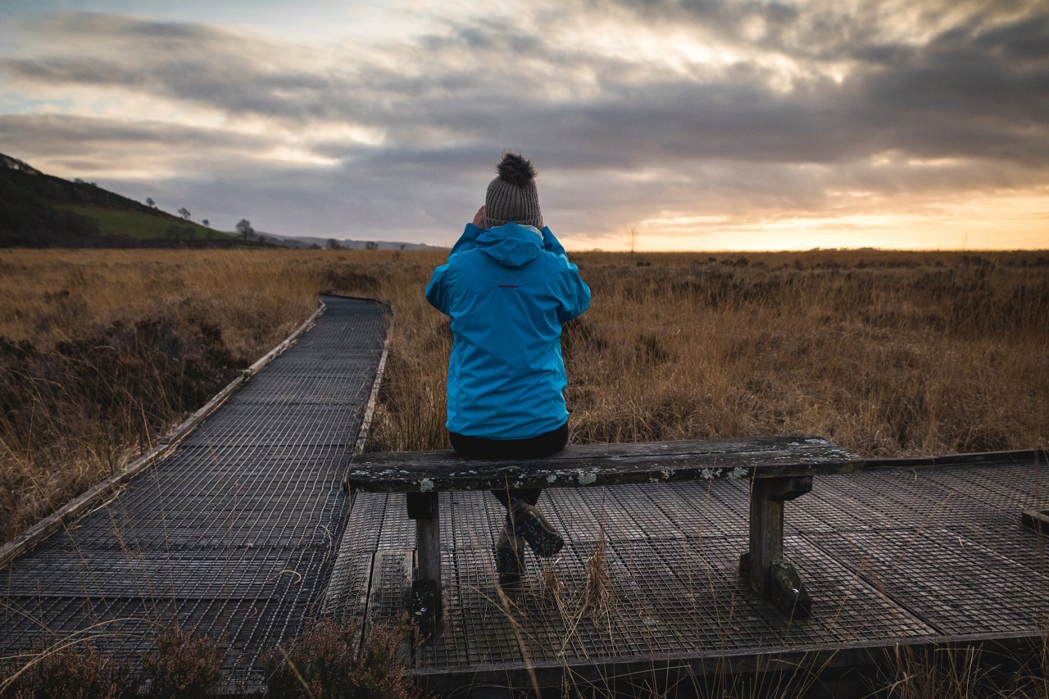 Cors Caron NNR Boardwalk - credit Drew Buckley Photography