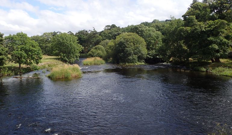 A view of the River Dee with trees in the background.