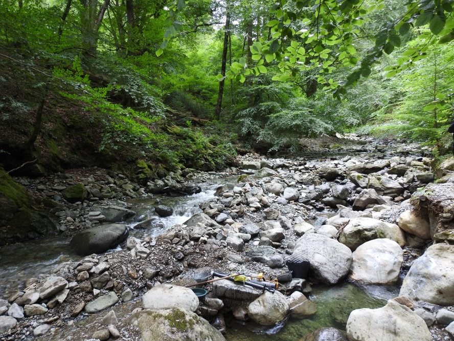 Snowdonia: Man guilty of panning for gold in Afon Wen - BBC News