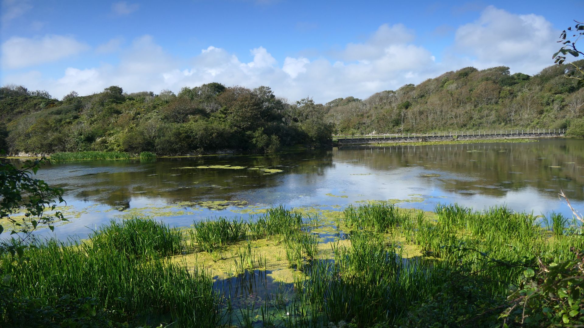 Bosherston Lakes