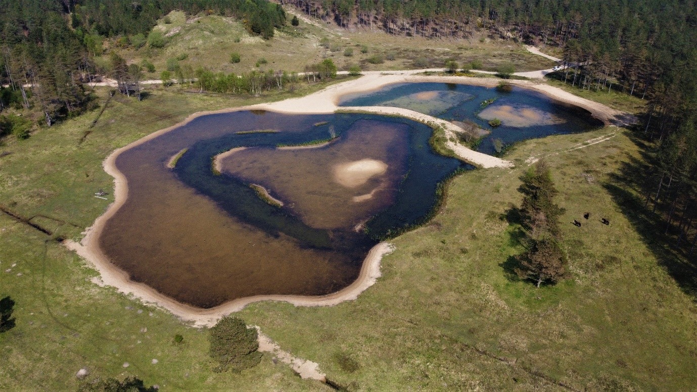 Aerial image of Pwll Pant Mawr dune pool at Newborough National Nature Reserve and Forest on Anglesey