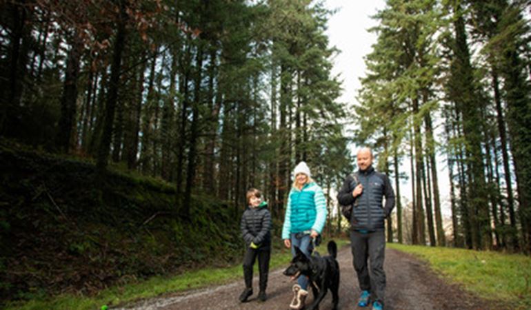 Walkers at Afan Forest Park