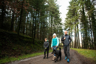 Walkers at Afan Forest Park