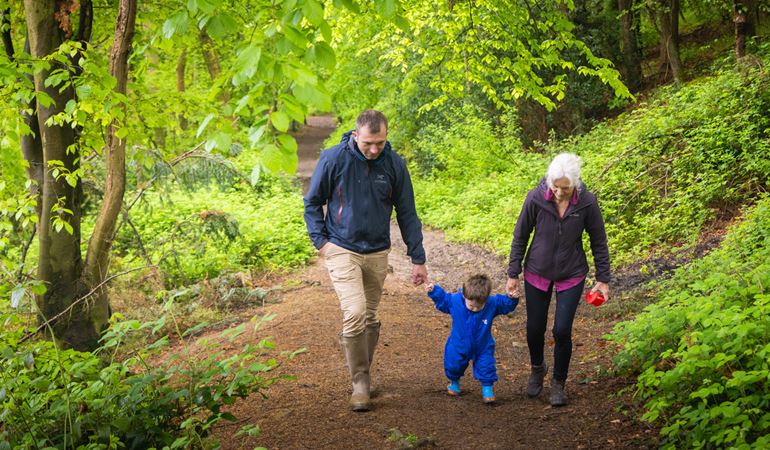 Two adults and a child walking through a woodland