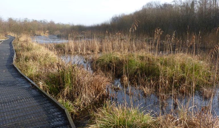 Crymlyn Bog Crymlyn Bog