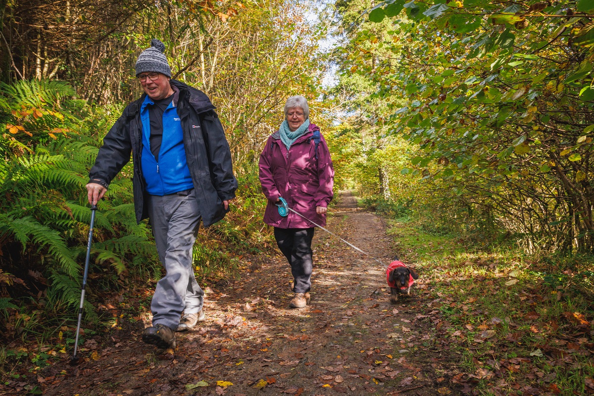 Two people walking through a woodland in autumn