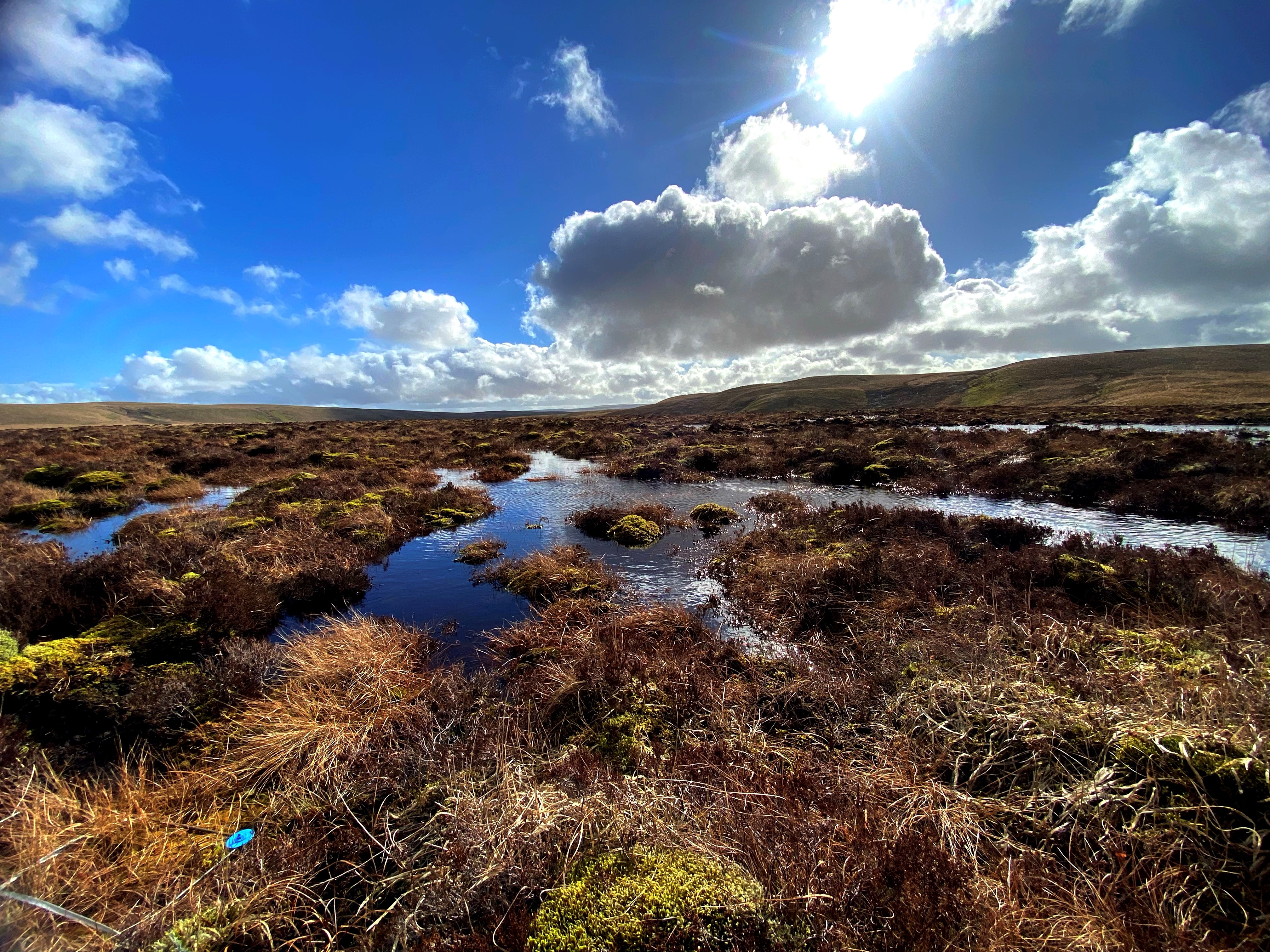 Peatland restoration at Elan Valley showing rewetted peatland under a blazing sun