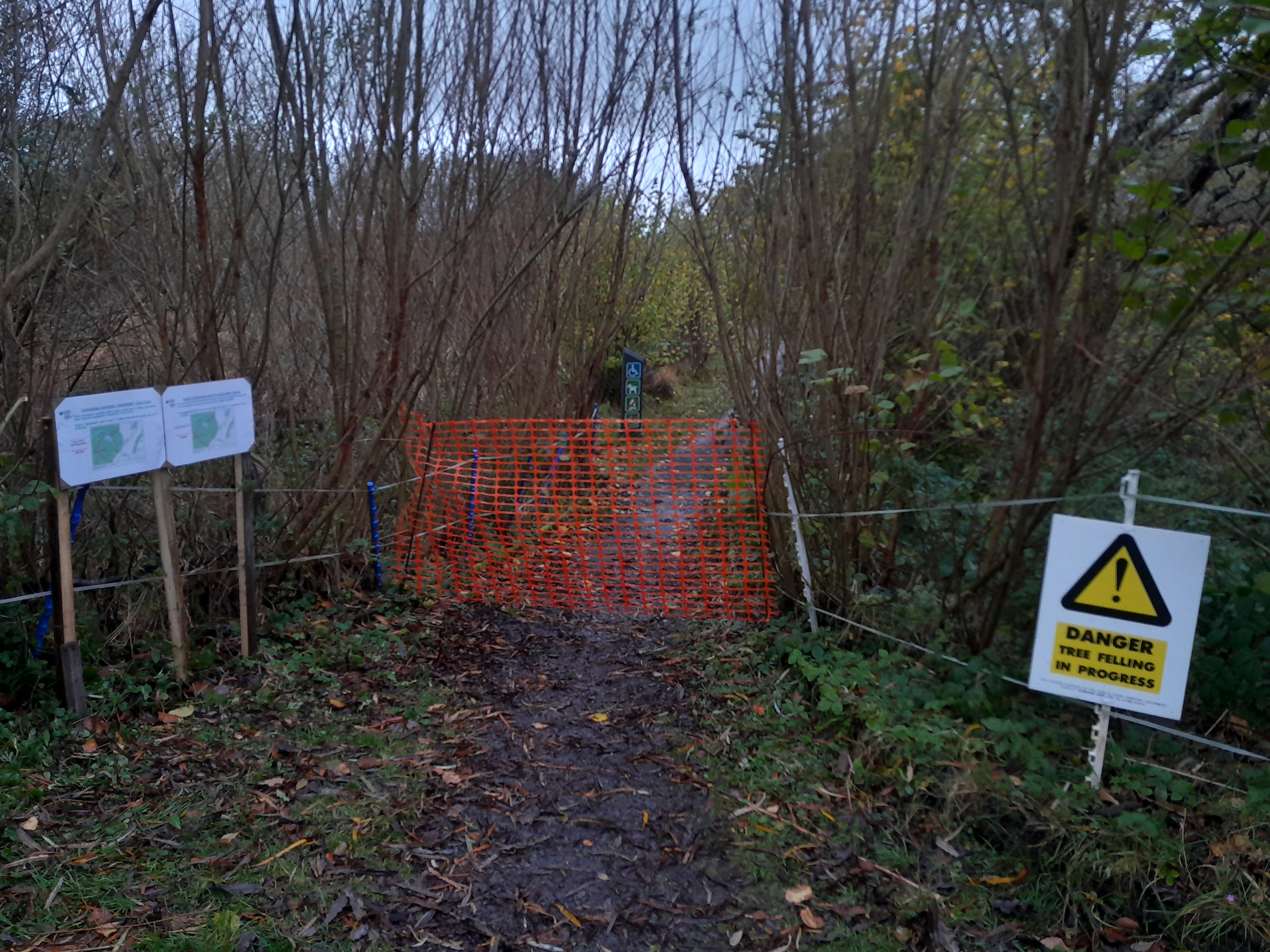 Cors Craon boardwalk closure Nov 202