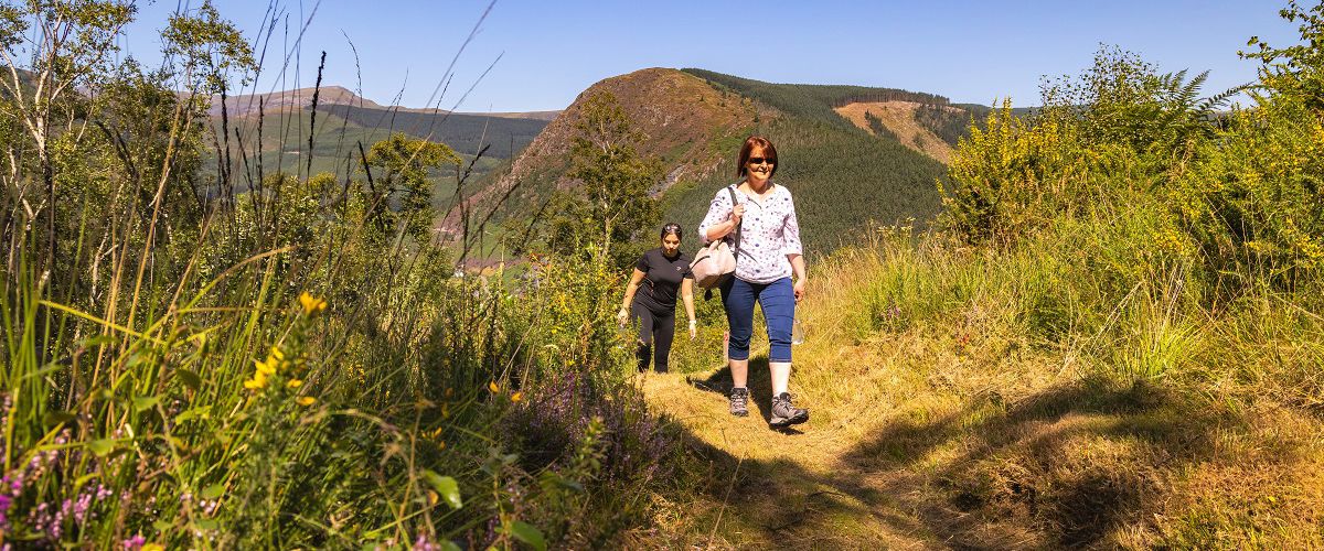 Foel friog walks hiking walking trails mid wales snowdonia accommodation best for 5 star b&b near viral