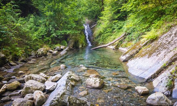 Cyfoeth Naturiol Cymru Parc Coedwig Gwydir Mwynglawdd Cyffty Ger Cyfoeth Naturiol Cymru Parc Coedwig Gwydir Mwynglawdd Cyffty Ger