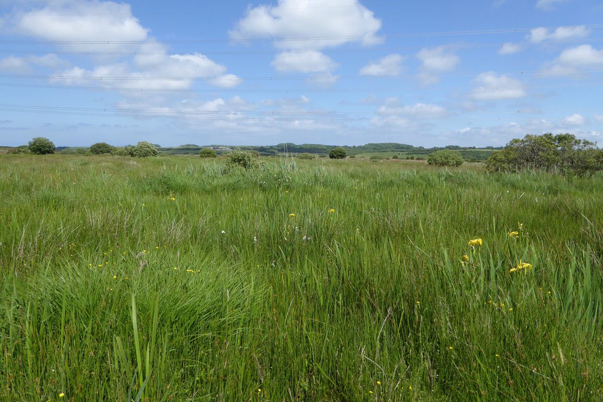 Natural Resources Wales / North West Wales