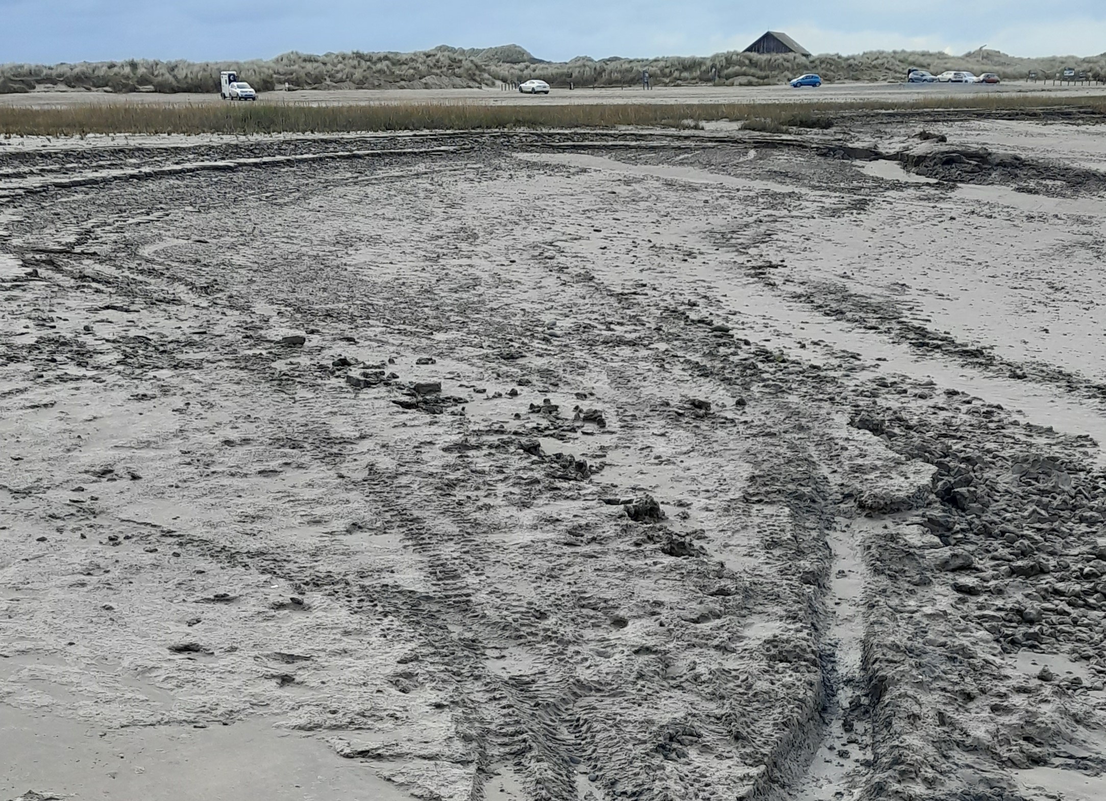 Tracks left on the sand by off-road bikes