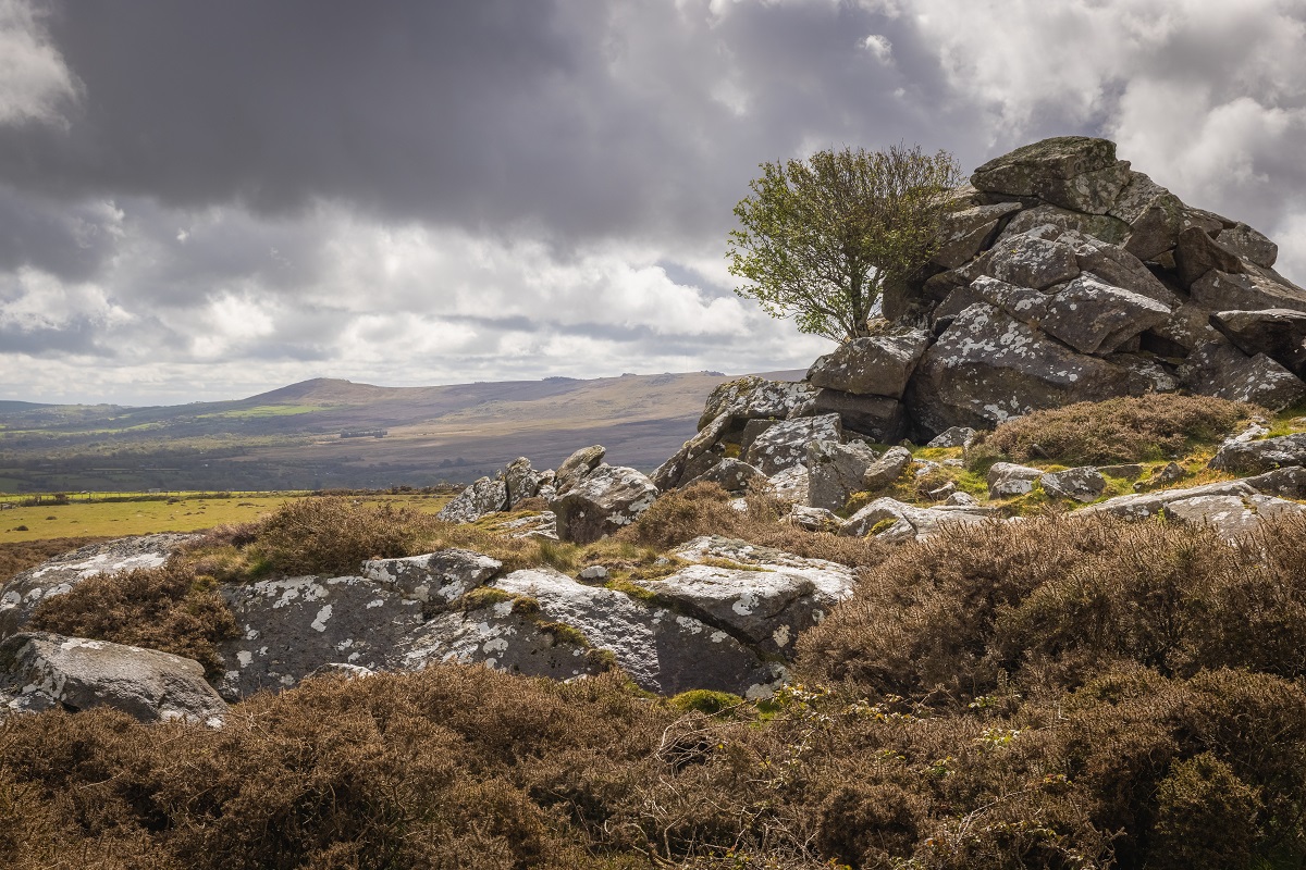 Natural Resources Wales / South West Wales