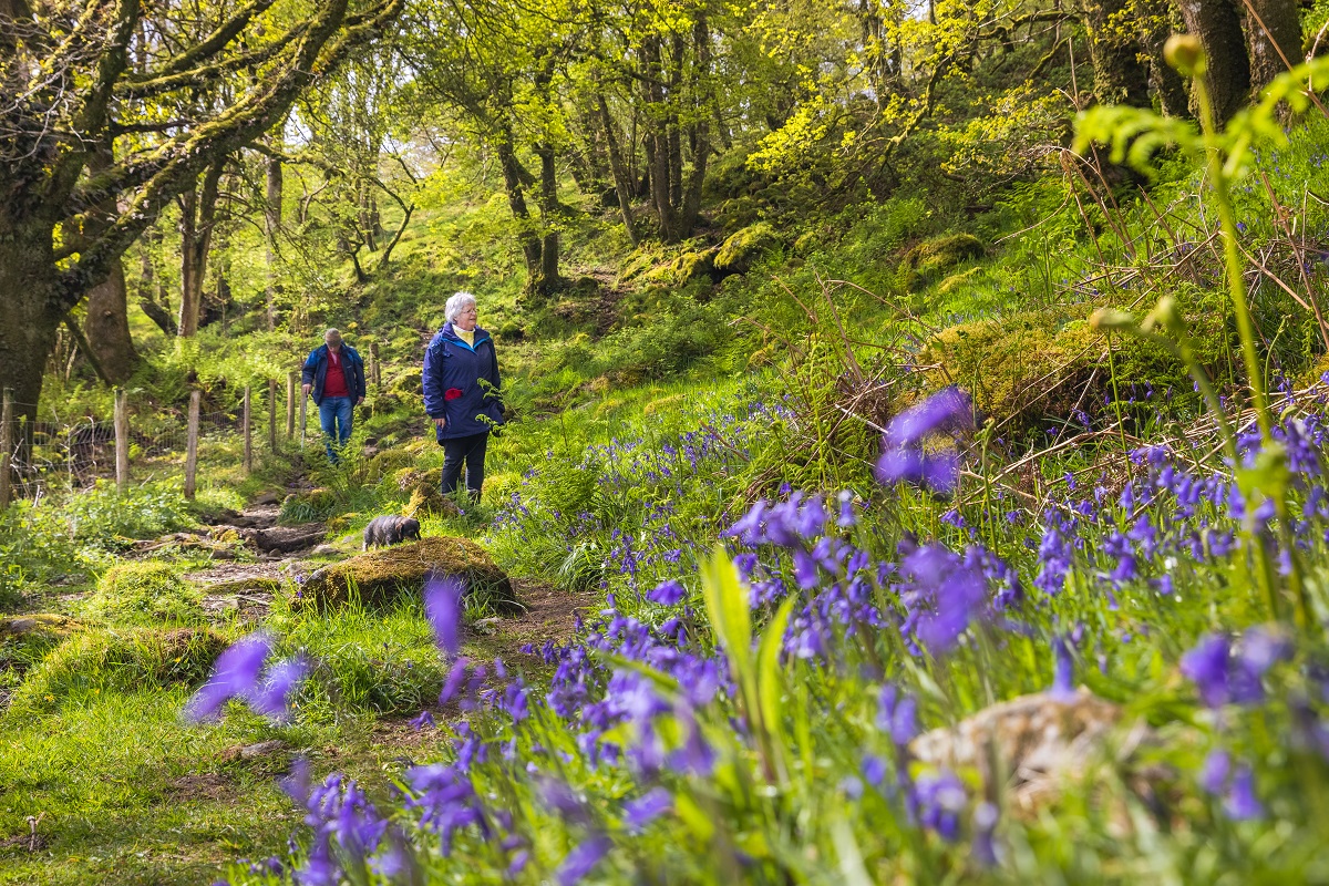 Natural Resources Wales / South West Wales