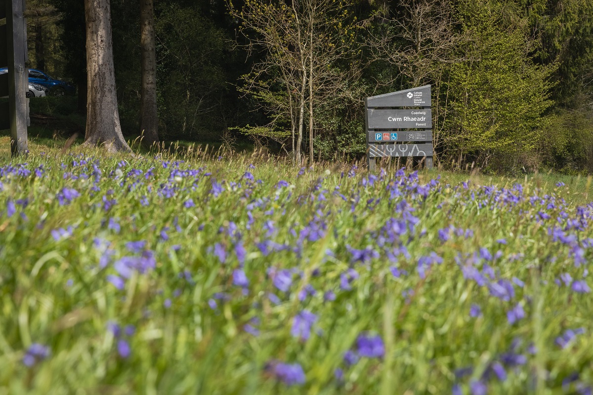 Natural Resources Wales / Days out