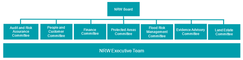 Our governance structure