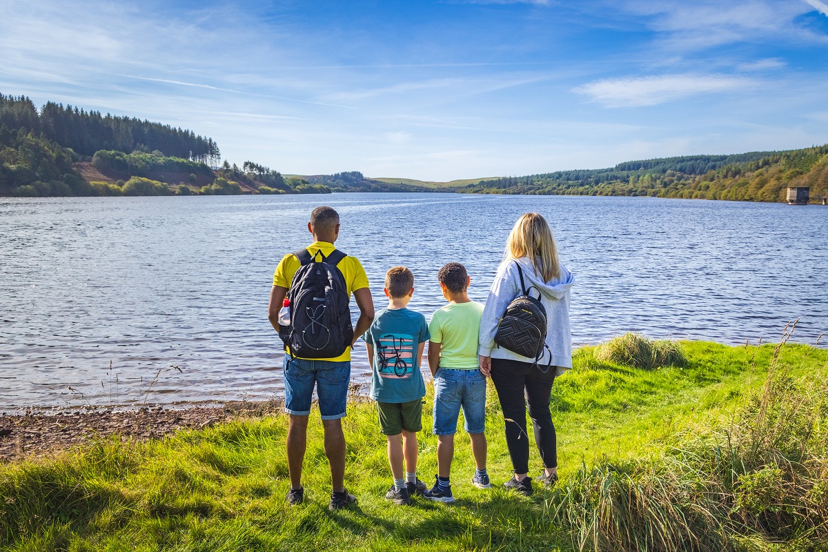 Natural Resources Wales / Glasfynydd Forest, near Llandovery