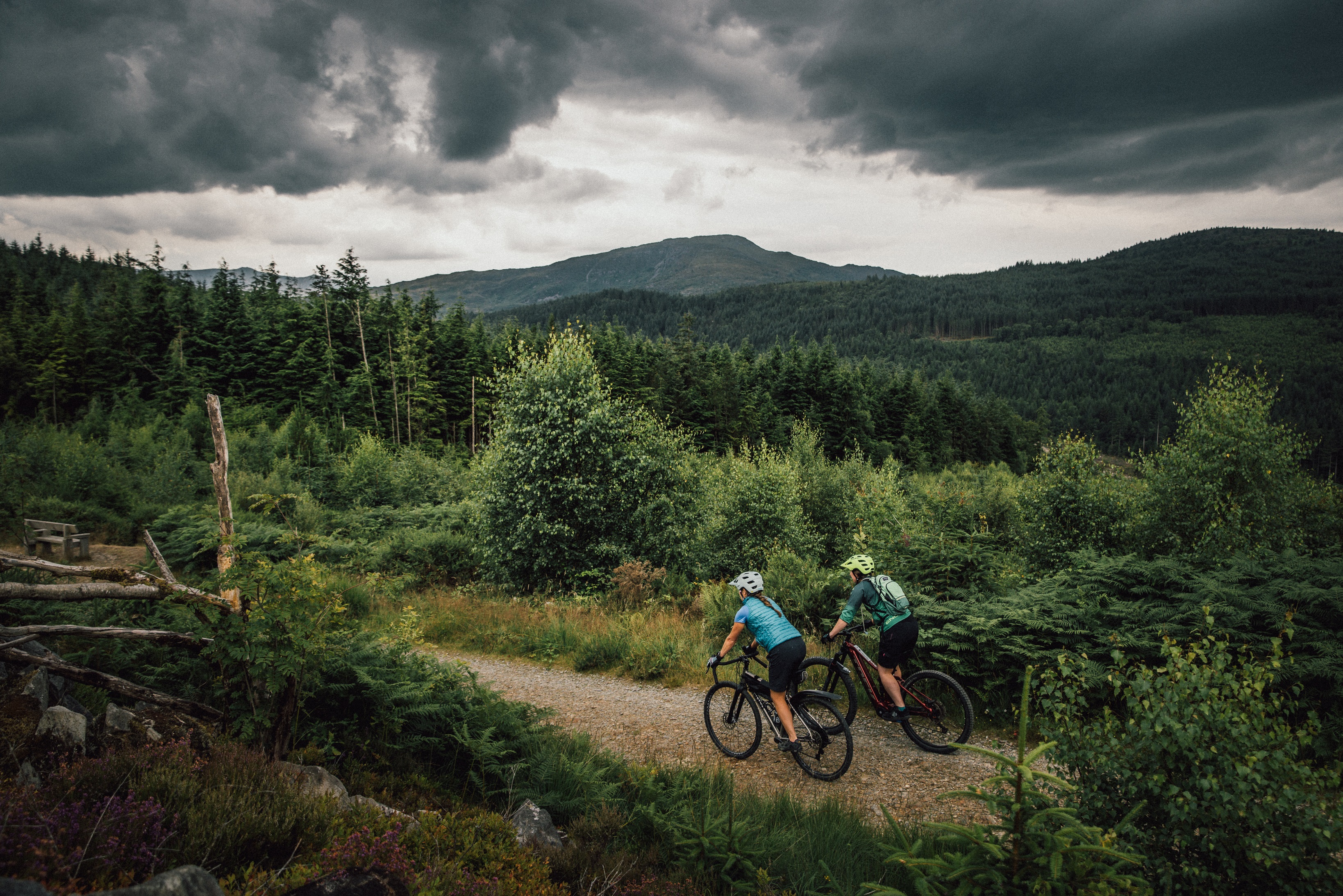 Coed y brenin mtb trails online