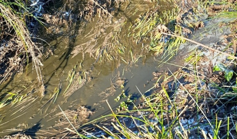photo of slurry in water course at Ton farm 