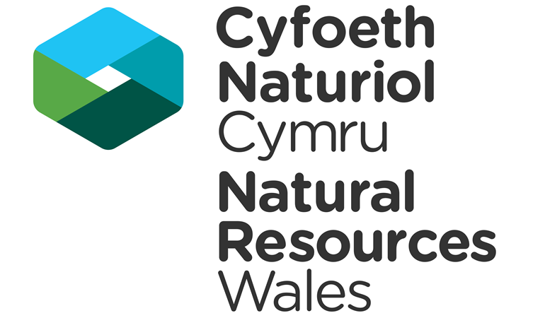 Cyfoeth Naturiol Cymru logo 