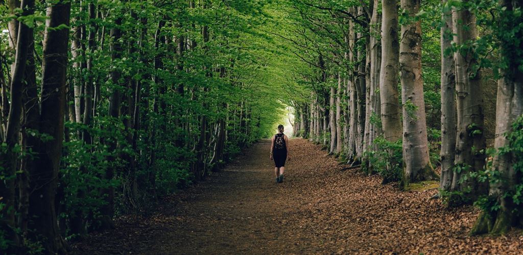 Woman walking in woodland